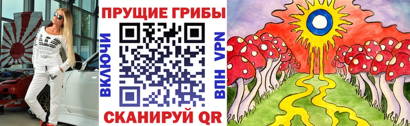 купить наркотики сайты  Златоуст  Псилоцибиновые грибы MAGIC MUSHROOMS 